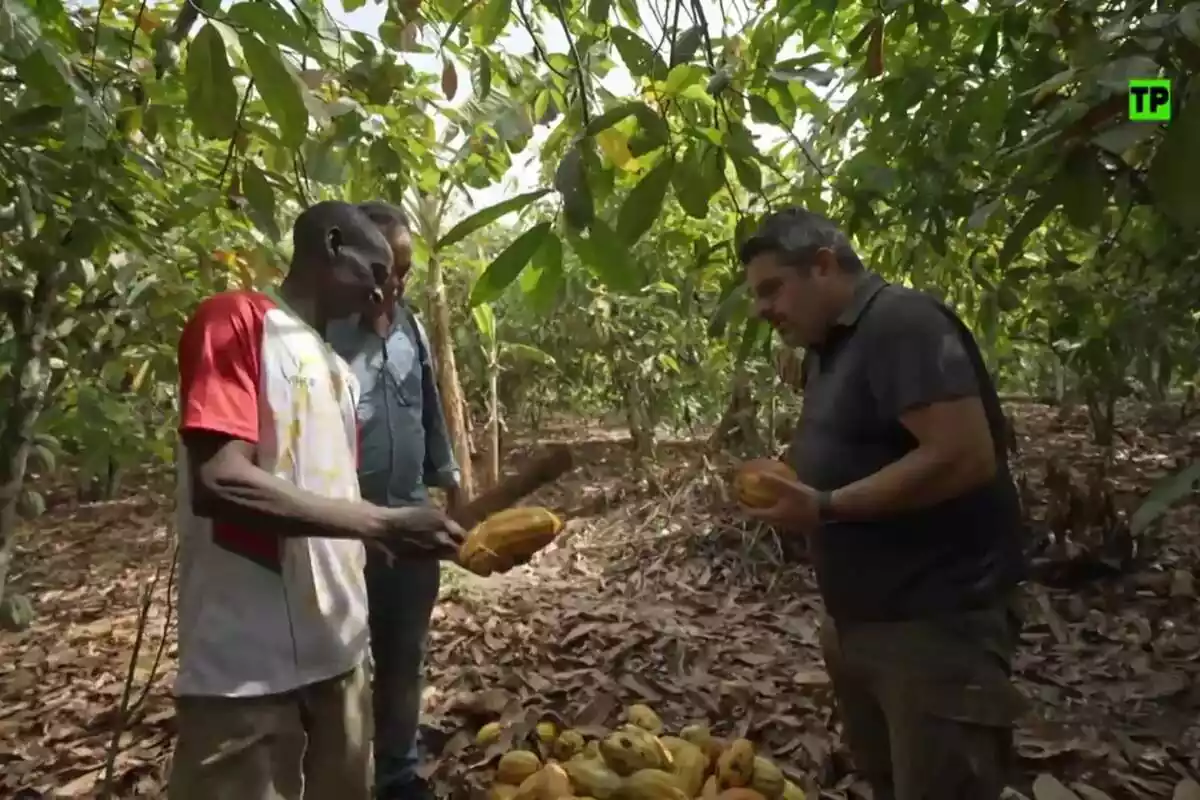 Jalis de la Serna en un campo de cacao en un reportaje de la cuarta temporada de Enviado Especial de laSexta