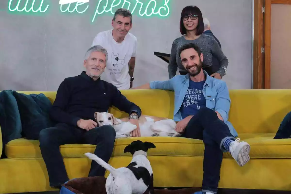 Fotografía de Fernando Grande-Marlaska junto a Dani Rovira en Un día de perros de RTVE Play